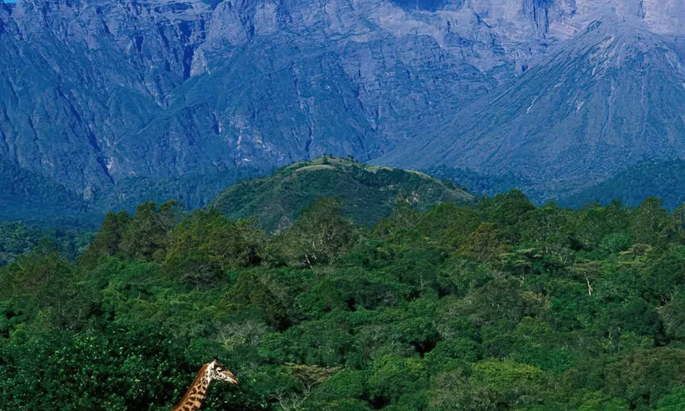 Hidden Gems in Arusha: 5 Off-the-Beaten-Path Experiences Near Ukarimu Host