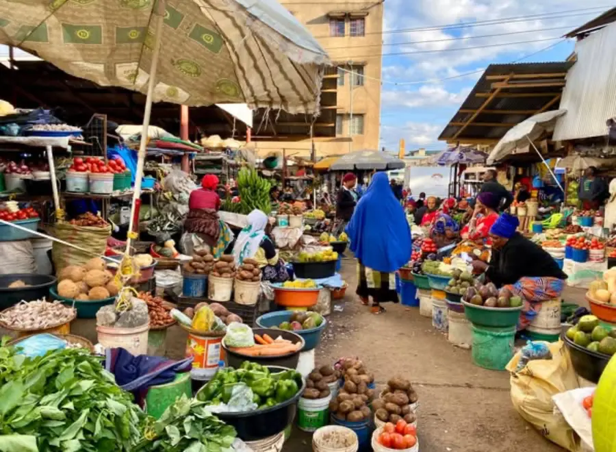Arusha local tourist activity | Ukarimu Host